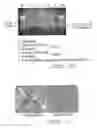 Fig. 16 - Polynucleotides and polypeptide sequences involved in the process of bone remodeling
