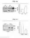 Fig. 07 - Methods and Compositions for Inhibiting Pathological Angiogenesis in the Eye