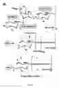 Fig. 07 - Capsule composition for use as immunogen against 