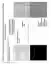 Fig. 06 - Pharmaceutical dosage forms fabricated with nanomaterials for quality monitoring