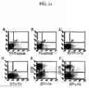 Fig. 37 - B7-Like Molecules and Uses Thereof