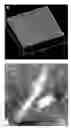 Fig. 01 - Polymer nanofilm coatings