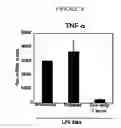 Fig. 09 - Polymer nanofilm coatings