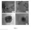 Fig. 03 - Drug Release from Thermosensitive Liposomes by Applying an Alternative Magnetic Field