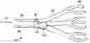Fig. 01 - Compositions for achieving a therapeutic effect in an anatomical structure and methods of using the same