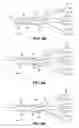 Fig. 04 - Compositions for achieving a therapeutic effect in an anatomical structure and methods of using the same