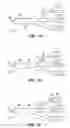 Fig. 05 - Compositions for achieving a therapeutic effect in an anatomical structure and methods of using the same
