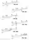 Fig. 06 - Compositions for achieving a therapeutic effect in an anatomical structure and methods of using the same
