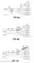 Fig. 07 - Compositions for achieving a therapeutic effect in an anatomical structure and methods of using the same
