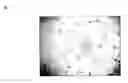 Fig. 01 - Methods and Therapeutic Compositions Comprising Plant Extracts for the Treatment of Cancer