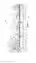 Fig. 06 - Method for smoothing cementitious slurry in the production of structural cementitious panels
