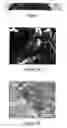 Fig. 02 - Materials having an enhanced emissivity and methods for making the same