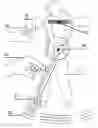 Fig. 01 - Methods for multi-sensory virtual golf instruction