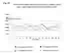 Fig. 22 - Methods and compositions for processes of rapid selection and production of nucleic acid aptamers