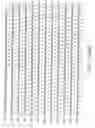 Fig. 77 - Everninomicin biosynthetic genes