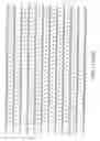 Fig. 97 - Everninomicin biosynthetic genes