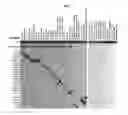 Fig. 02 - METHOD FOR THE DETECTION OF BACTERIAL SPECIES OF THE  GENERA  ANAPLASMA/EHRLICHIA AND BARTONELLA