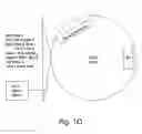Fig. 03 - 7B2 Knockout transgenic animals as models of endocrine disease