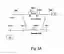 Fig. 05 - 7B2 Knockout transgenic animals as models of endocrine disease