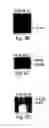 Fig. 06 - 7B2 Knockout transgenic animals as models of endocrine disease