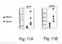 Fig. 15 - 7B2 Knockout transgenic animals as models of endocrine disease