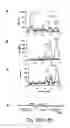 Fig. 20 - 7B2 Knockout transgenic animals as models of endocrine disease
