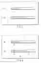 Fig. 06 - Method of detecting nucleotide sequence with an intramolecular probe