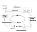 Fig. 02 - Method for generating aptamers with improved off-rates