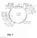 Fig. 08 - Stabilized bioactive peptides and methods of identification, synthesis, and use