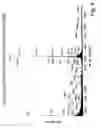 Fig. 07 - AChE antisense oligonucleotide as an anti-inflammatory agent