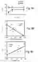 Fig. 10 - AChE antisense oligonucleotide as an anti-inflammatory agent