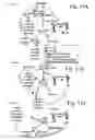 Fig. 12 - AChE antisense oligonucleotide as an anti-inflammatory agent