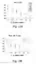 Fig. 13 - AChE antisense oligonucleotide as an anti-inflammatory agent