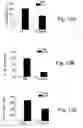 Fig. 14 - AChE antisense oligonucleotide as an anti-inflammatory agent