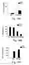 Fig. 15 - AChE antisense oligonucleotide as an anti-inflammatory agent