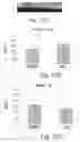 Fig. 18 - AChE antisense oligonucleotide as an anti-inflammatory agent