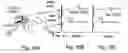 Fig. 19 - AChE antisense oligonucleotide as an anti-inflammatory agent