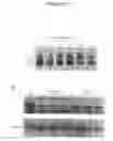Fig. 02 - Alpha-Ketoglutarates and Their Use as Therapeutic Agents