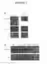 Fig. 08 - Alpha-Ketoglutarates and Their Use as Therapeutic Agents
