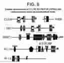 Fig. 294 - Ange gene in atopy