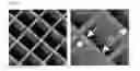Fig. 06 - Modular X-Ray Detector With Single Photon Counting, Energy Sensitivity And Integration Capabilities