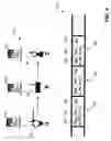 Fig. 05 - Priority-based scheduling and routing in a wireless network
