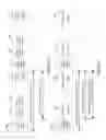 Fig. 11 - Communications methods and apparatus related to synchronization with respect to a peer to peer timing structure