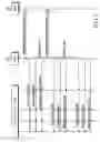 Fig. 06 - Method of transmitting/receiving control message in a mobile communication system providing multimedia broadcast/multicast service
