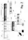 Fig. 04 - Media stream splicer