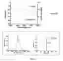 Fig. 05 - Automatic dispersion compensation in amplification for short pulse fiber laser system