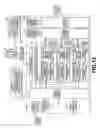 Fig. 14 - DECODING DEVICE, DECODING METHOD, RECORDING MEDIUM, AND PROGRAM