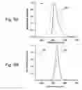 Fig. 07 - Nanocomposites