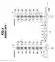 Fig. 04 - Optical pulse time spreading device