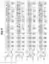 Fig. 10 - Optical pulse time spreading device